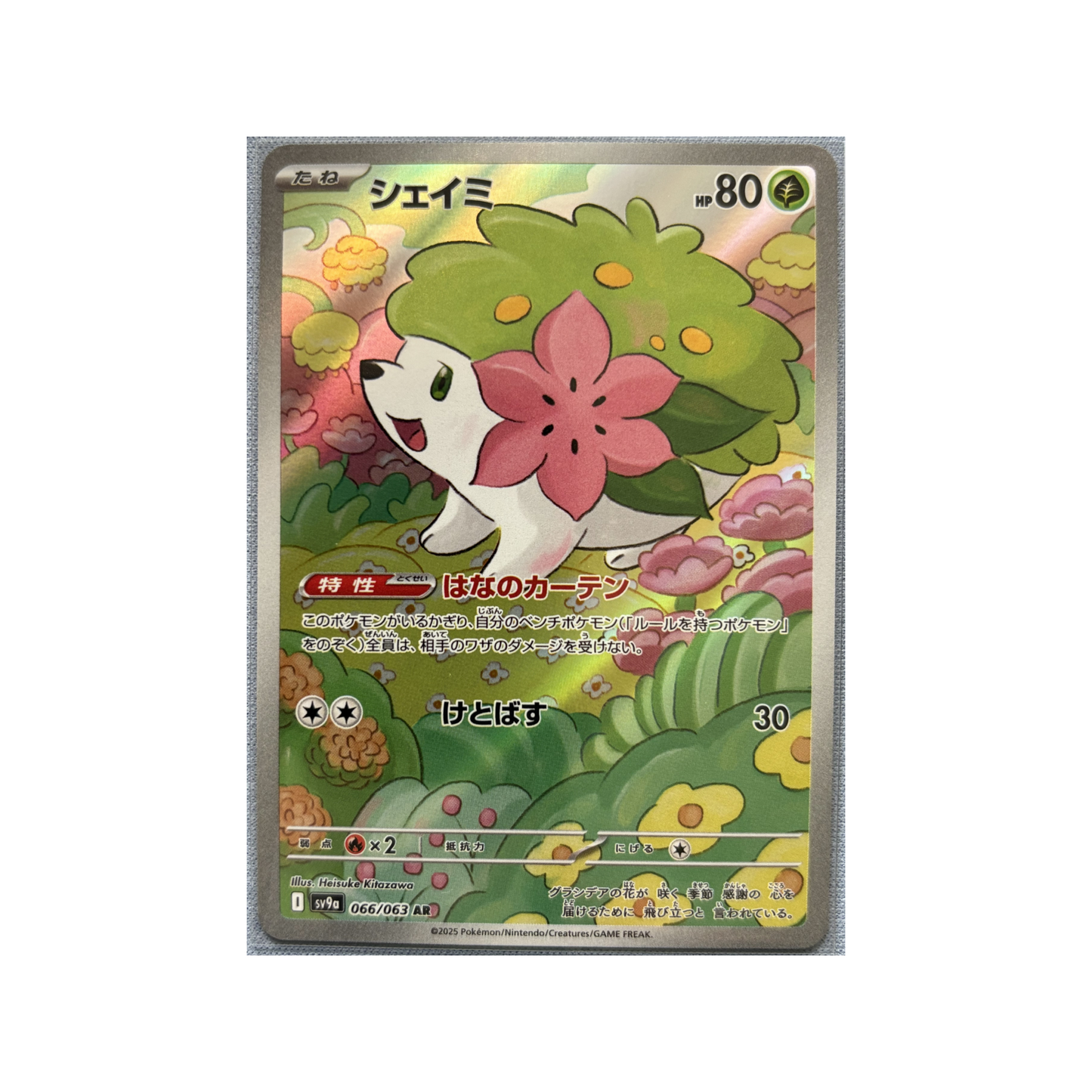 Shaymin 66/63 AR sv9a • Single JPN
